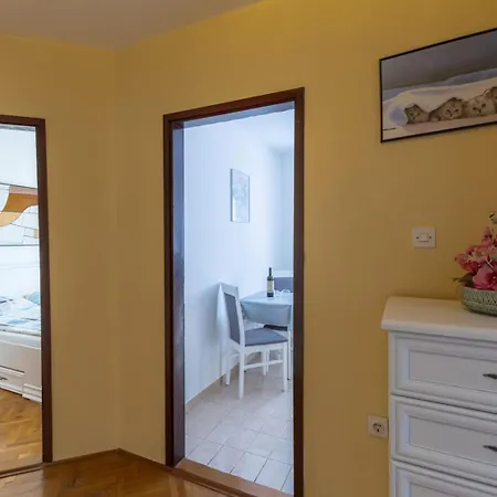 Guest house Dado 3*