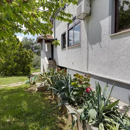 Dado Guest house Porec